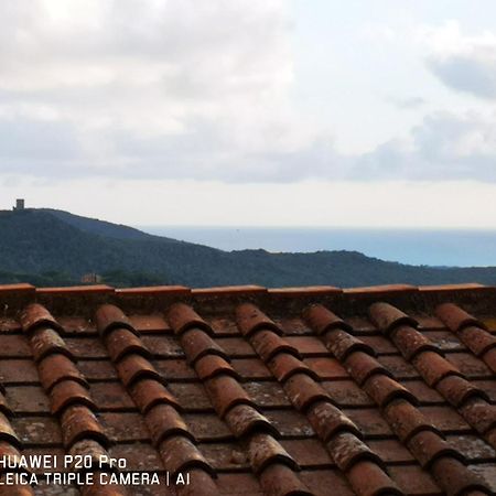 Il Nespolo Βίλα Castagneto Carducci Εξωτερικό φωτογραφία