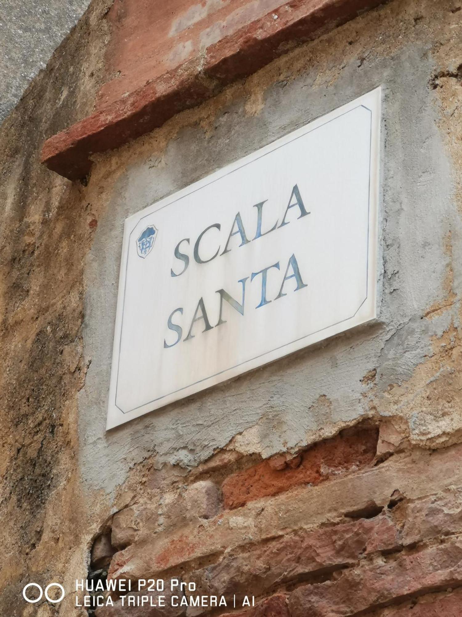 Il Nespolo Βίλα Castagneto Carducci Εξωτερικό φωτογραφία